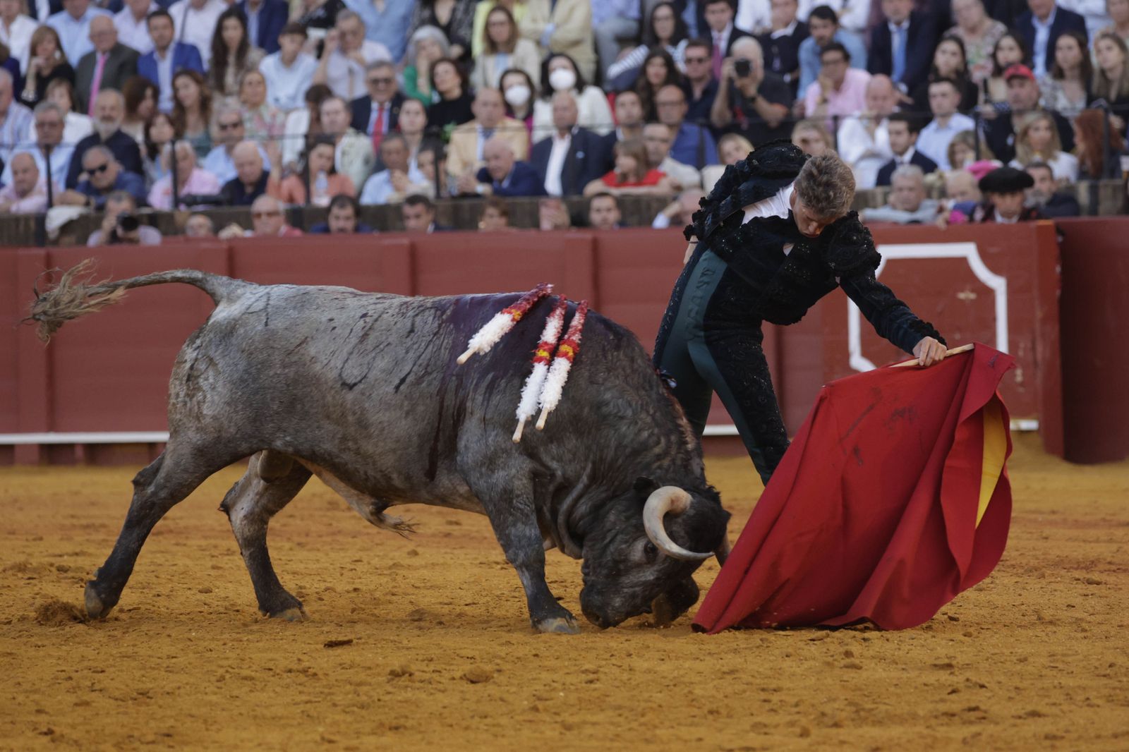 Las imágenes de la corrida de los Victorinos en la Maestranza de Sevilla