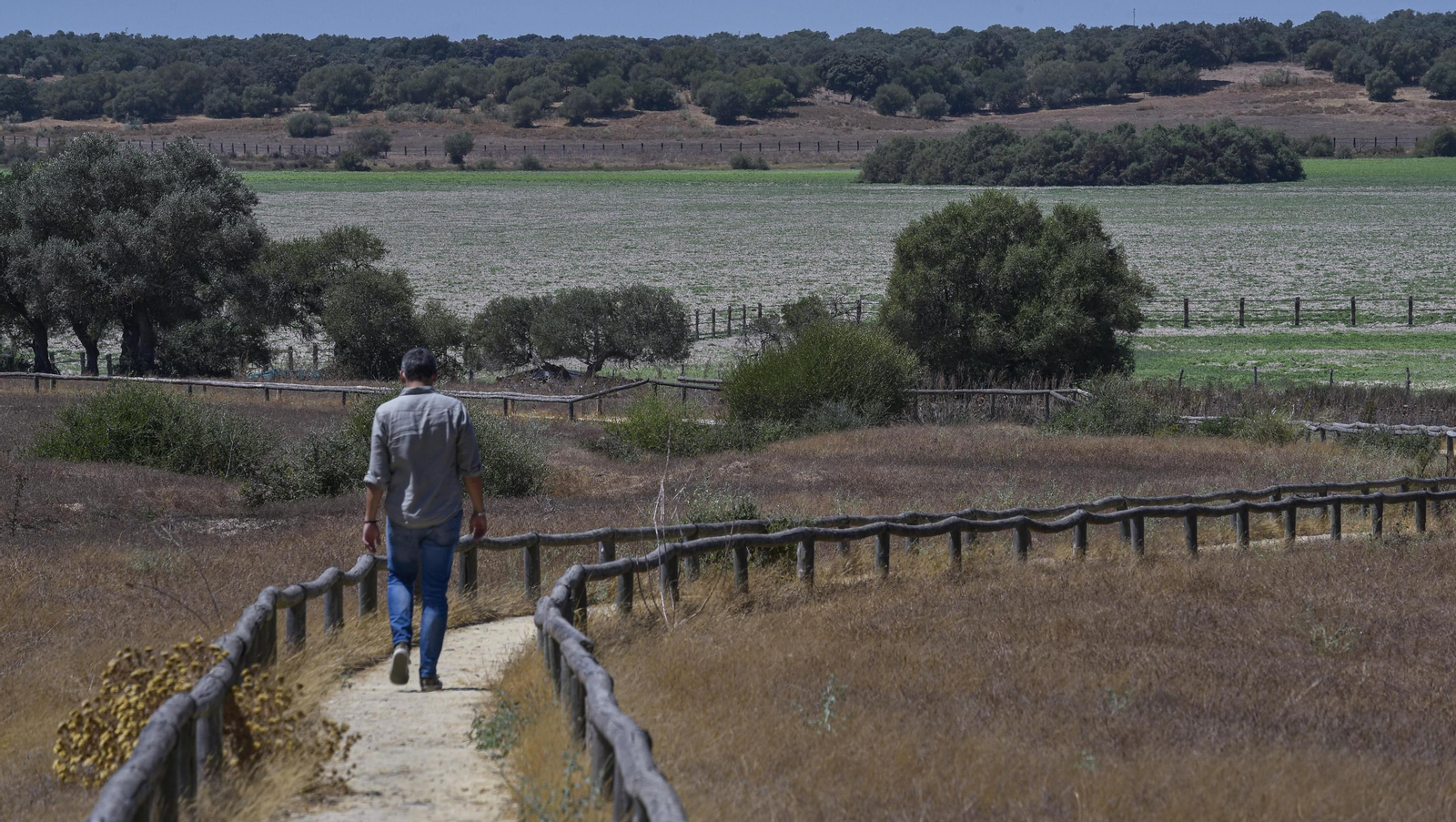 La Dehesa de Abajo, en Puebla del Río, con la laguna vacía.