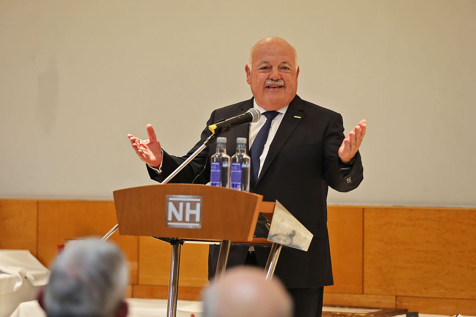 Imágenes de la XX Edición de los premios Luis Felipe