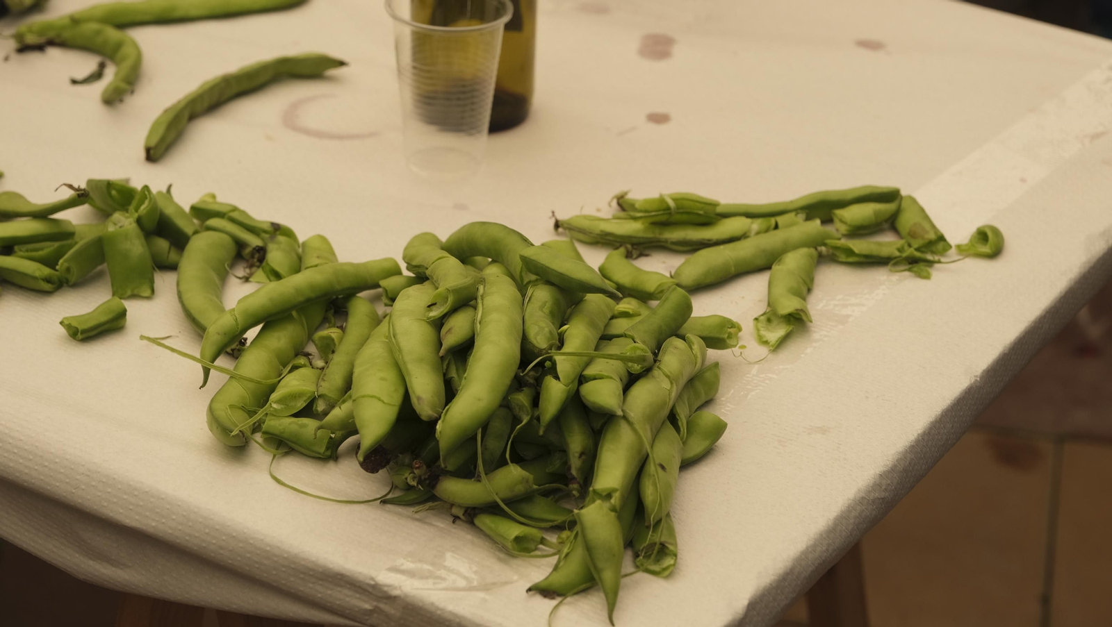 Imágenes de la fiesta de la XXVII Cata de Vinos de Benahadux