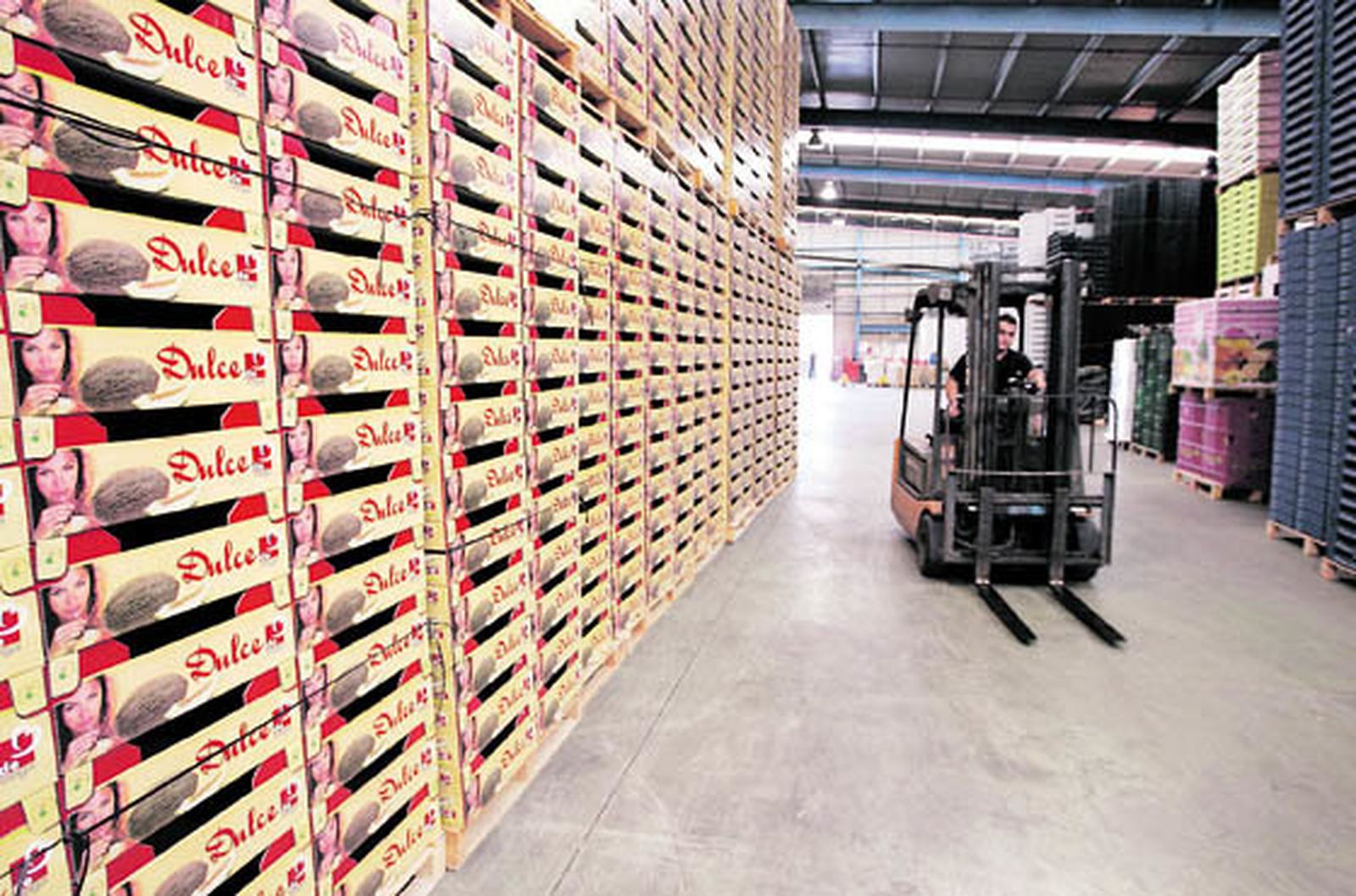 El nuevo acuerdo agrícola Marruecos-UE y sus repercusiones en la agricultura andaluza