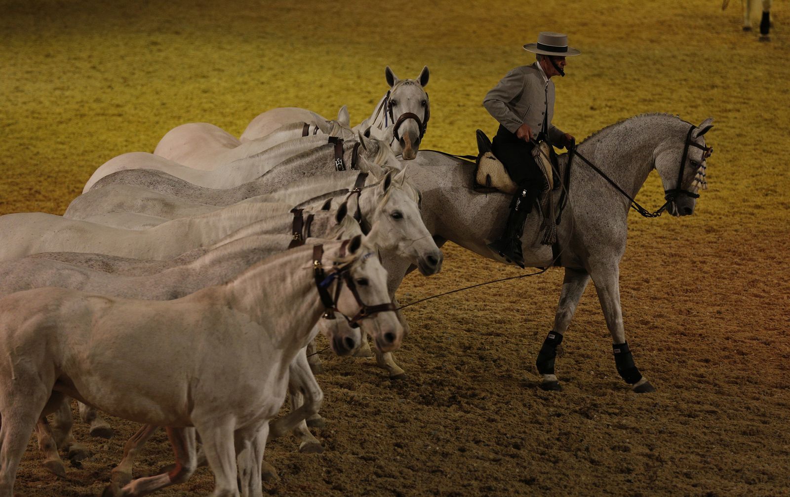 Inauguración de Sicab 2017