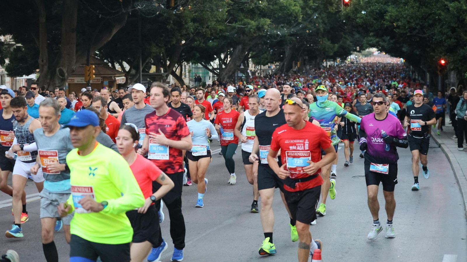 Las mejores fotos de la Maratón de Málaga 2024