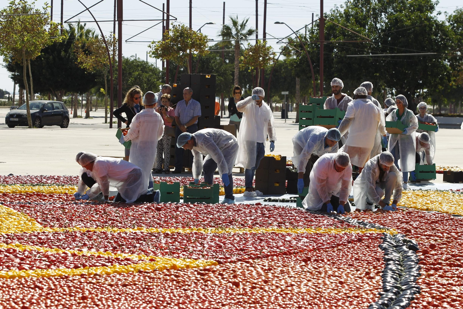 Fotogalería Récord Guinness Corazón Hortalizas Almería