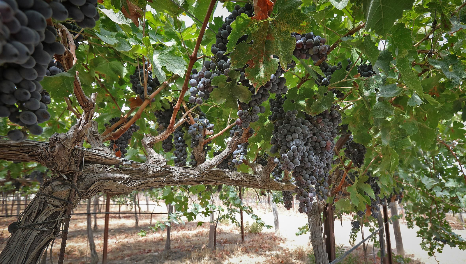 En el corazón de Tesalia