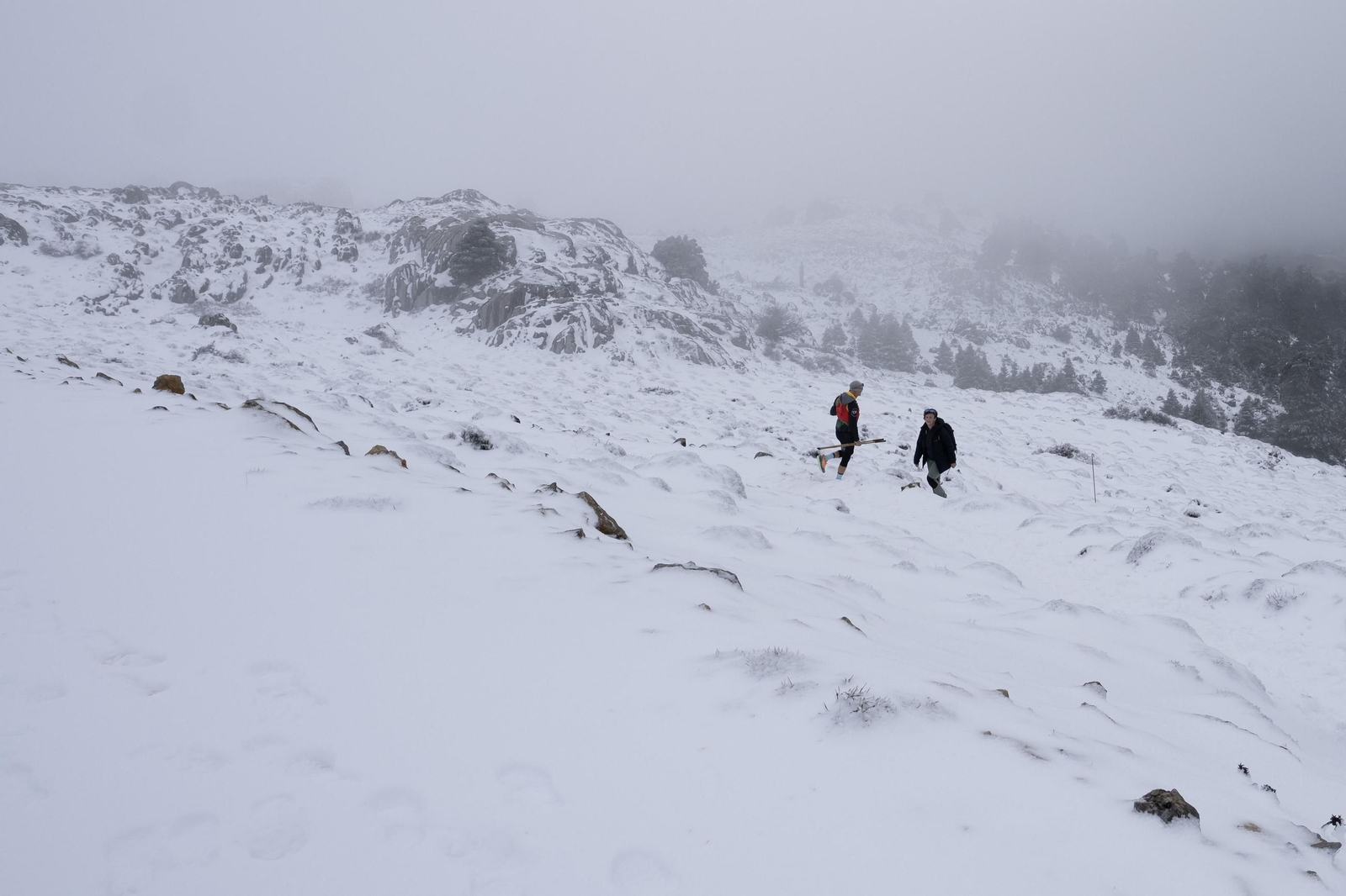 La ruta por la nieve en el Parque Nacional Sierra de las Nievas, en imágenes