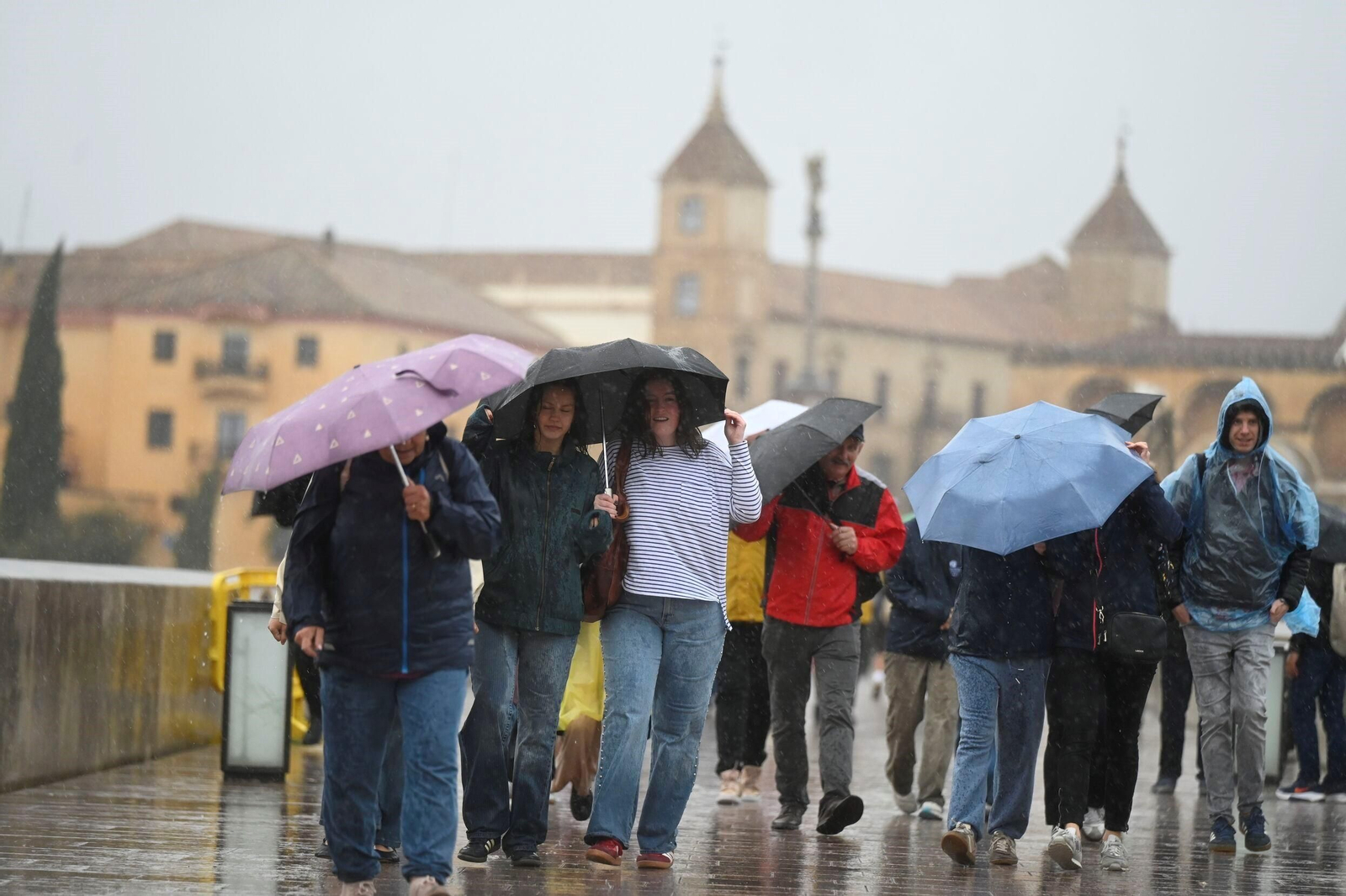 El paso de la borrasca Claudia por Córdoba en imágenes