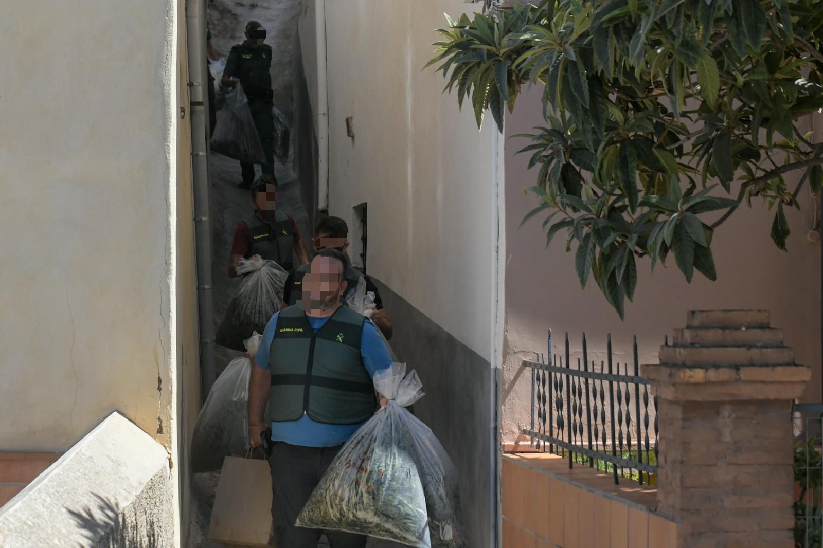 Fotos: así ha sido la operación contra el tráfico de marihuana en Pinos Puente