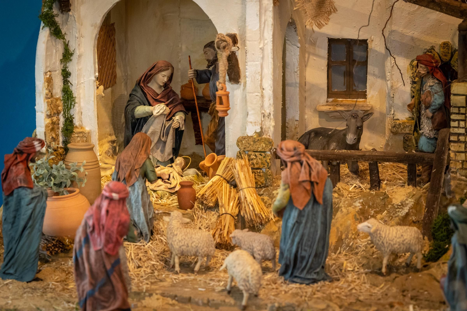 COLEGIO ARGANTONIO Lugar: Colegio Argantonio c/ 24 de Julio Horario: Laborables: 11.00 h. a 13.00 h. Festivos: 11.00  h. a 13.00 h.