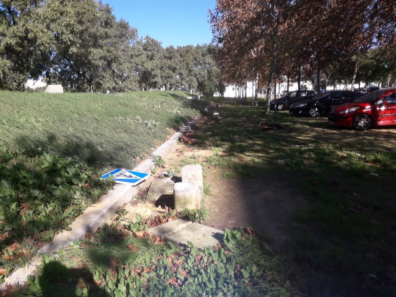 Estado en el que se encuentran las zonas verdes de La Negrilla.