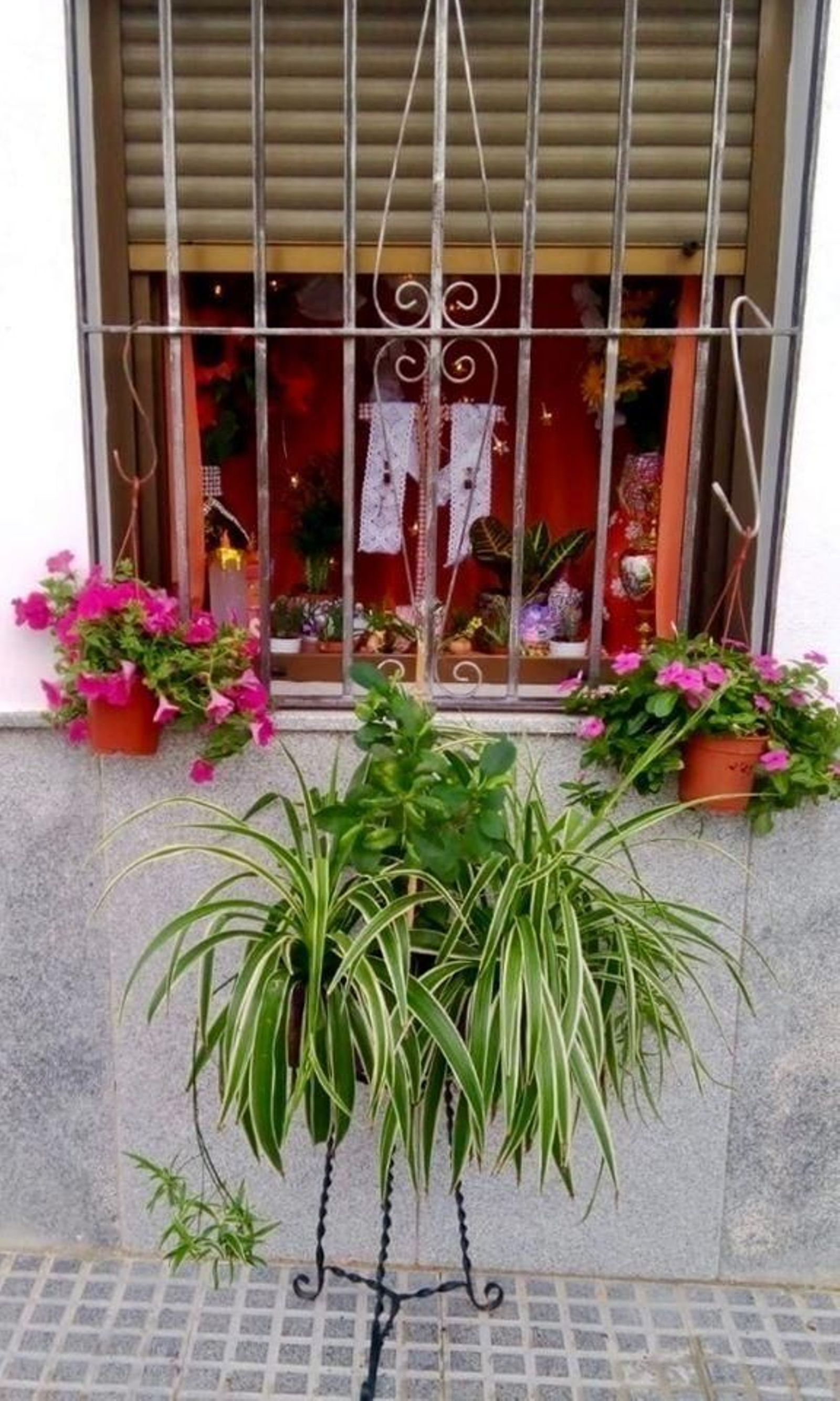 Fotografías de las Cruces de Mayo de Cardeña