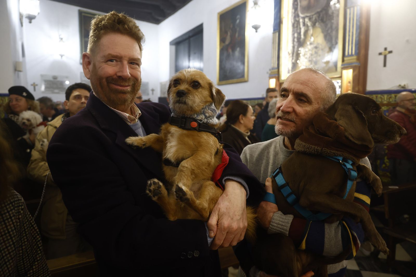 Bendición de animales por San Antón en la Divina Pastora, todas las fotos