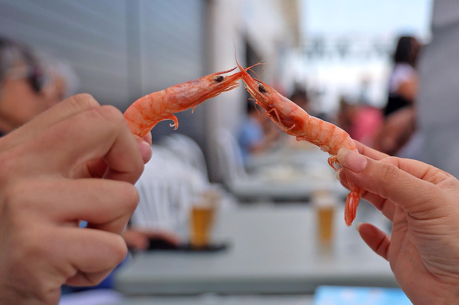 Imágenes del ambiente en la Feria de la Gamba y el Marisco de Huelva