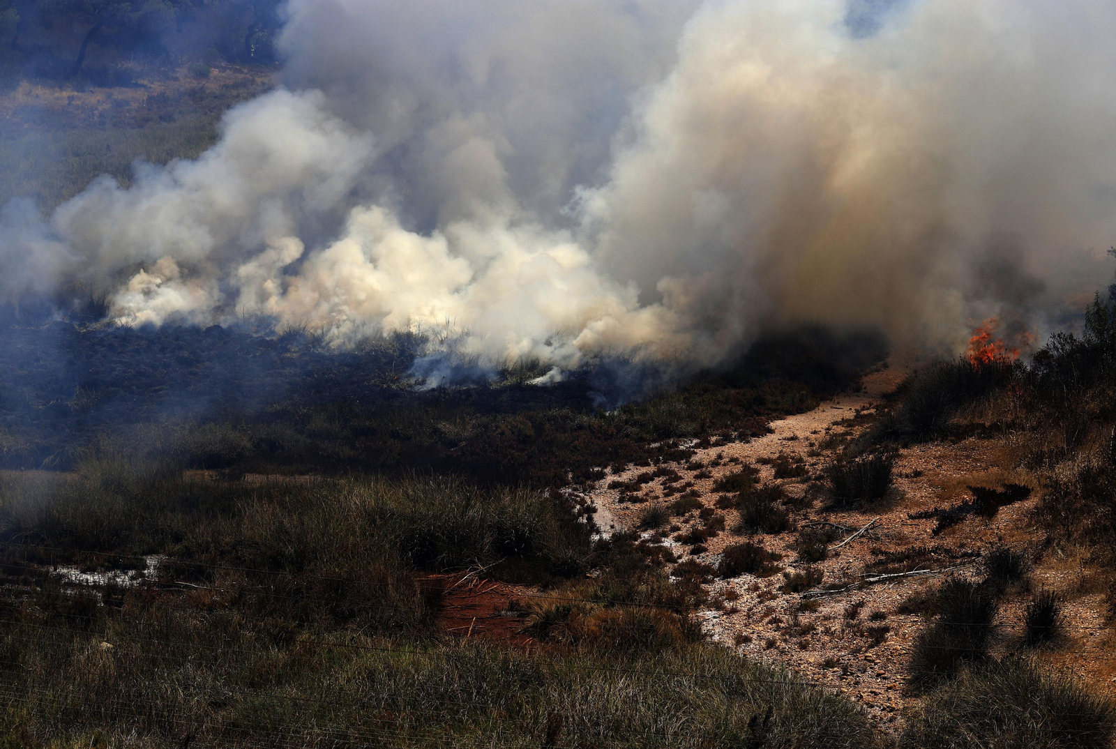 Imágenes del espectacular incendio entre en el paraje de la raya de Aljaraque y Marismas del Odiel
