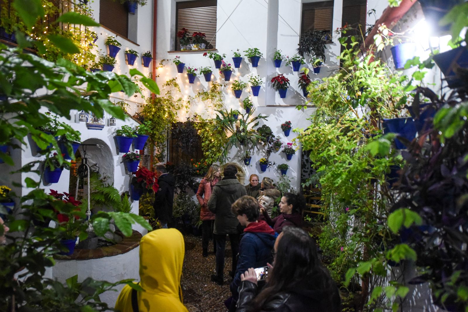 Las mejores fotos de la última jornada de la Navidad en los Patios