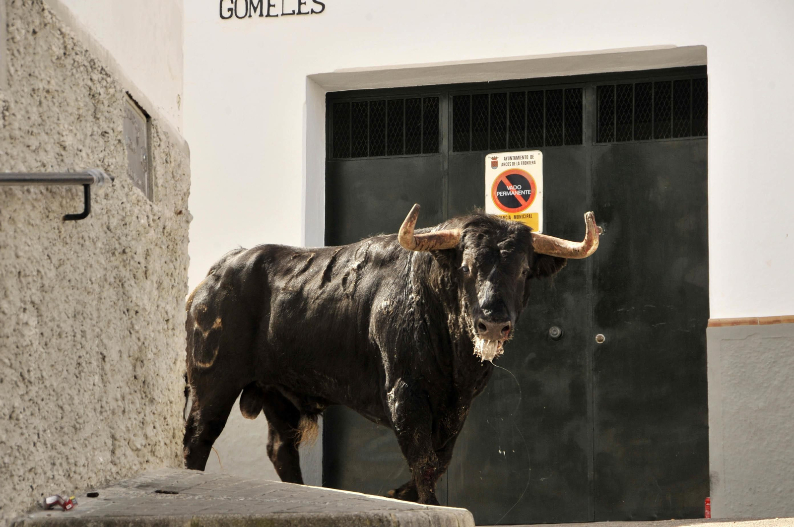 Imágenes del Toro del Aleluya en Arcos