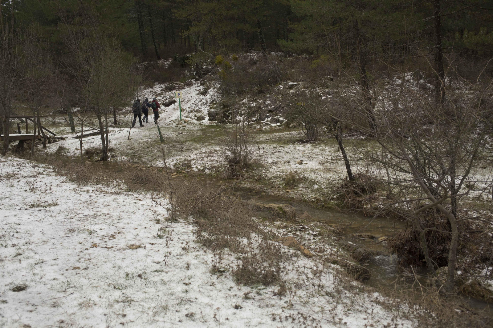 Las imágenes de la primera nevada del invierno en la Sierra de las Nieves