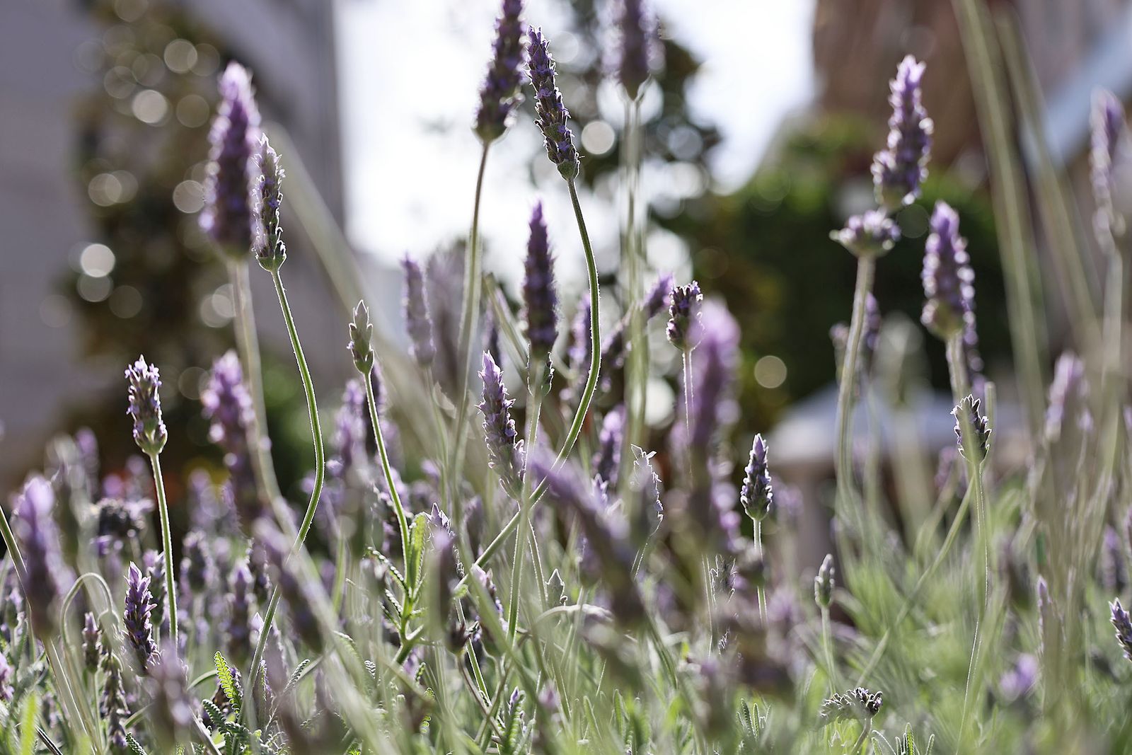 Las imágenes más destacadas del lunes 1 de abril en Huelva