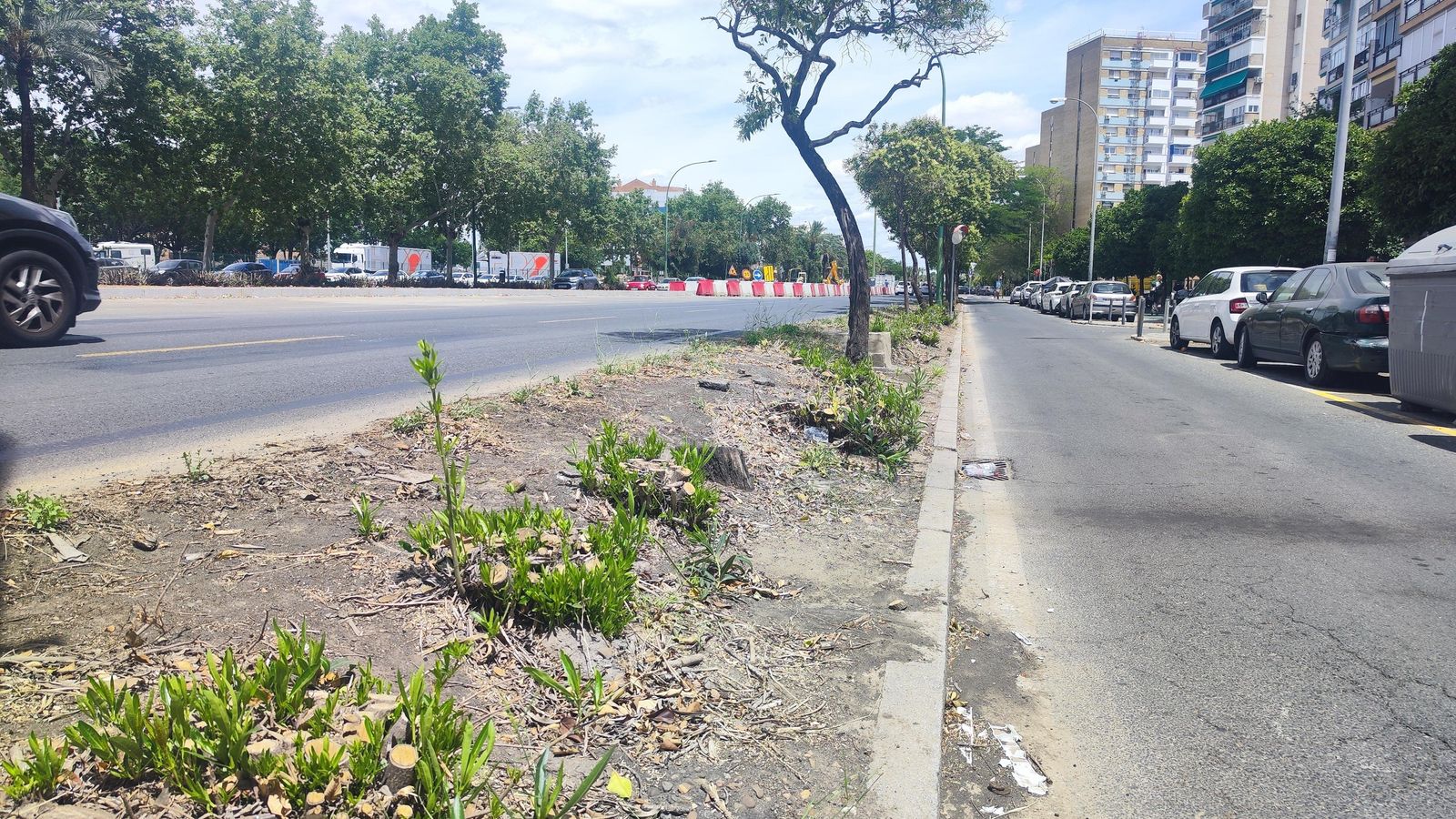 Otra vista de la vía de servicio de Kansas City sin la vegetación que tenía