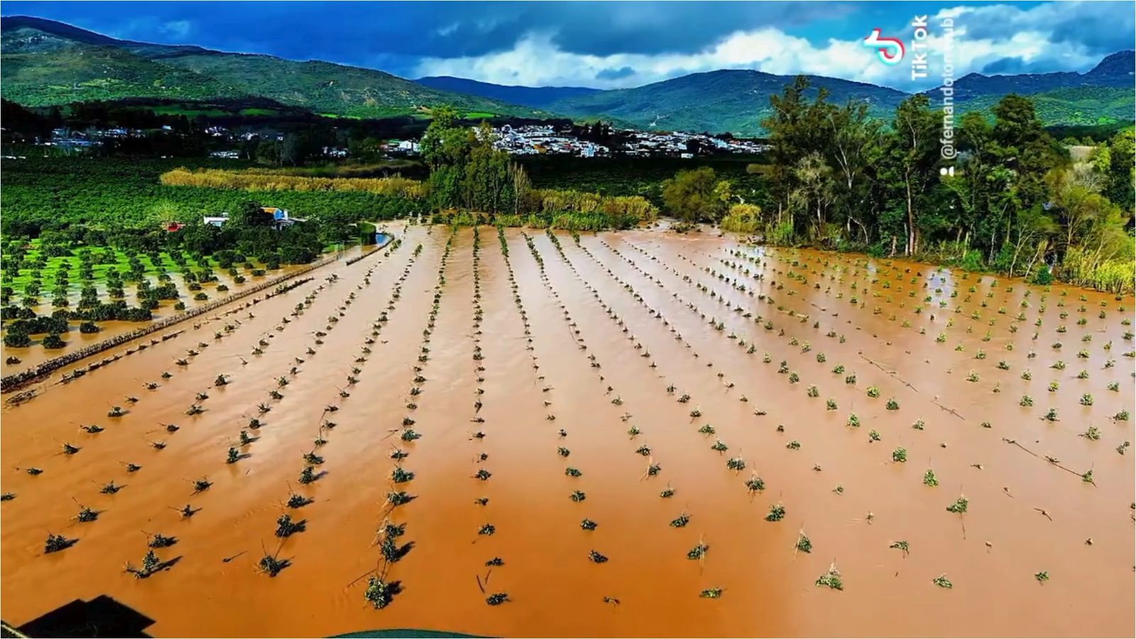La devastación por las crecidas del río Guadiaro, a vista de dron