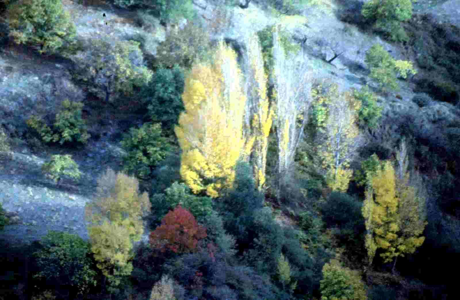 El memorial en defensa de los concejos.