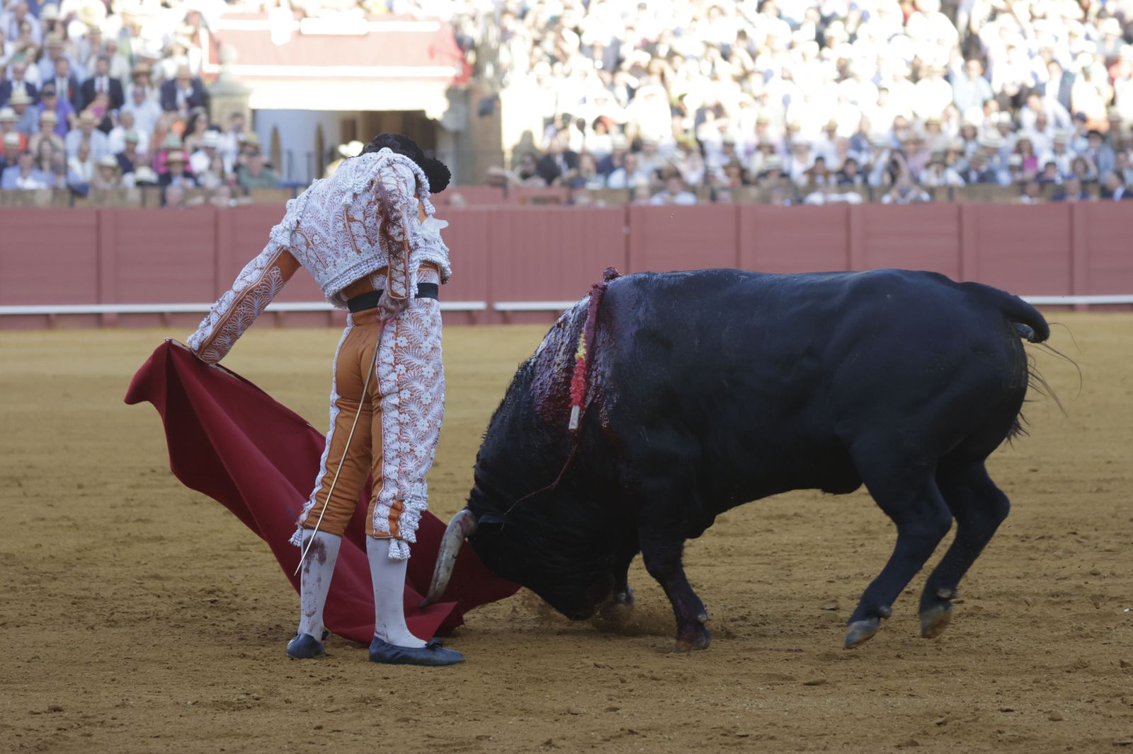 Las imágenes del festejo