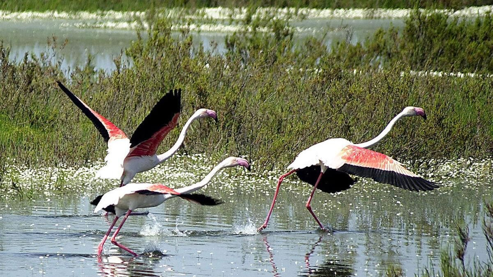 Un entorno natural privilegiado Un entorno de naturaleza privilegiado