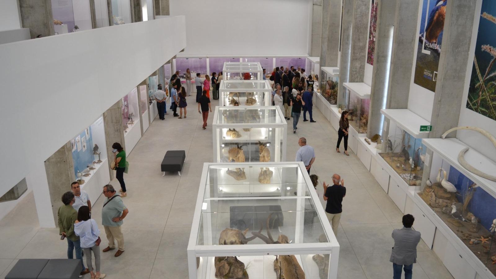 El museo está abierto a toda la sociedad y tendrá un amplio programa de actividades a lo largo de todo el año