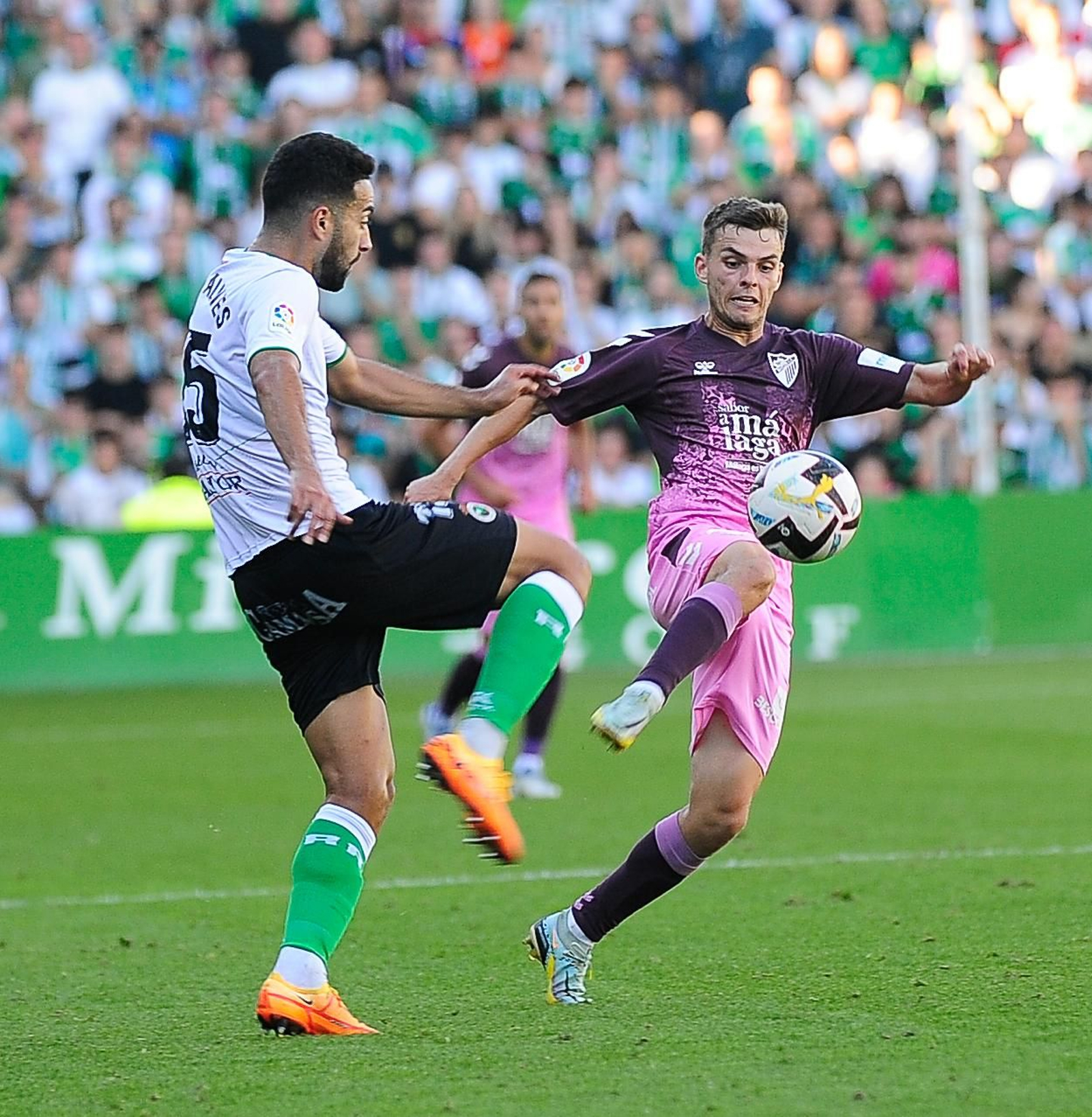 Las fotos del Racing de Santander - Málaga CF Las fotos del Racing de Santander - Málaga CF
