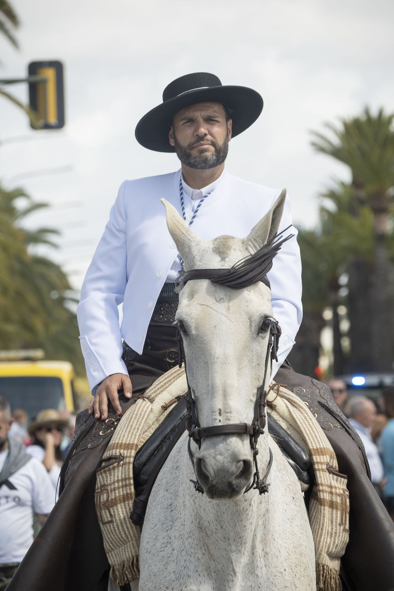 Todos los rocieros de la comitiva de la Hermandad de Huelva, en imágenes