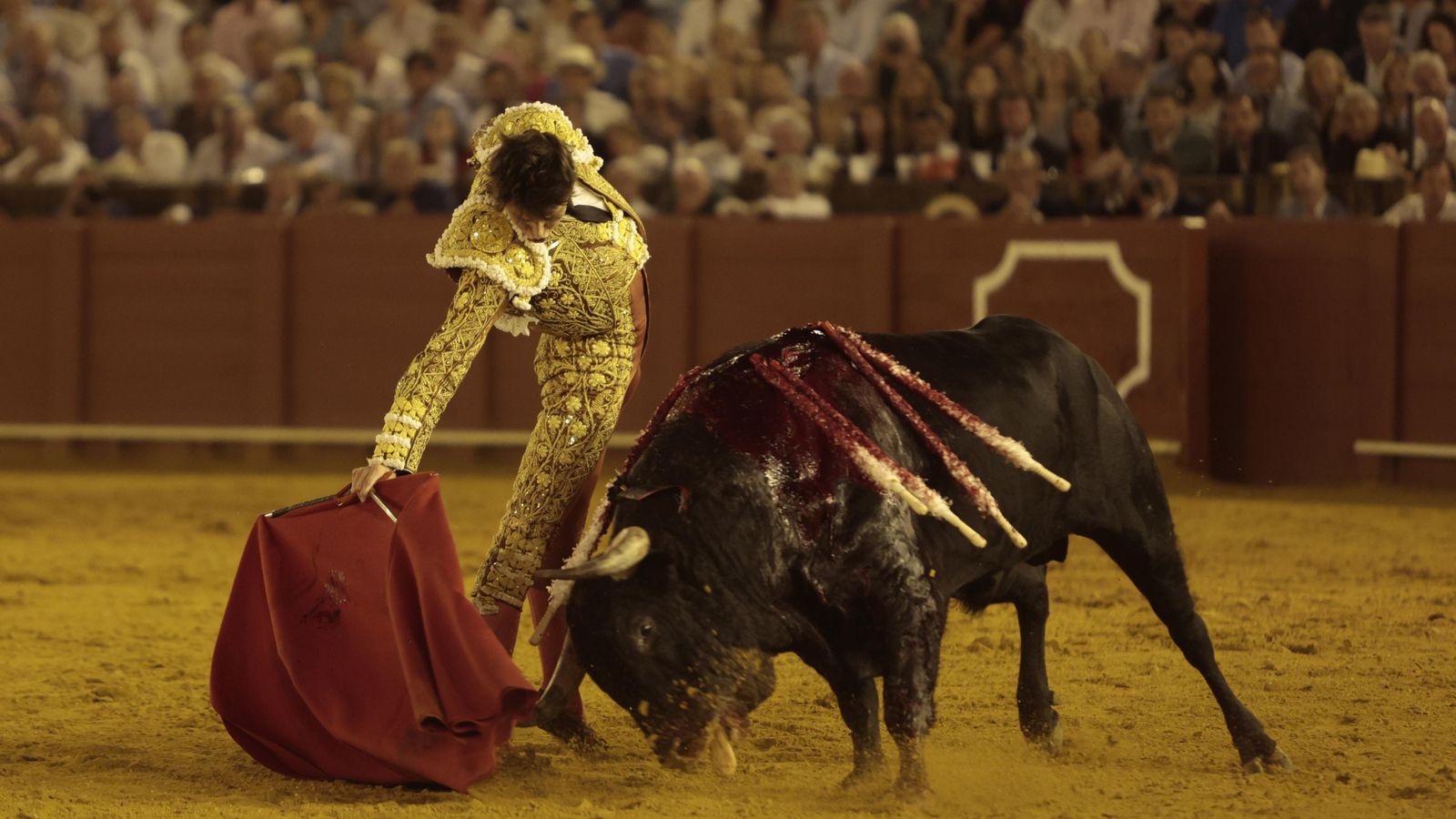 El triunfo de Castella en imágenes El triunfo de Castella en imágenes