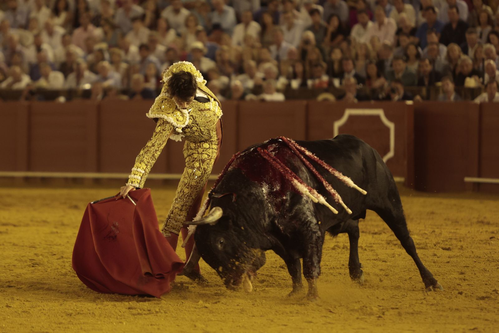 El triunfo de Castella en imágenes