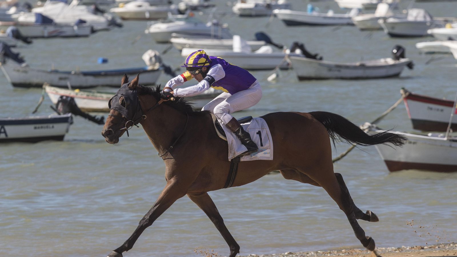 En Bajo de Guía tiene lugar las famosas Carreras de Caballos de Sanlúcar