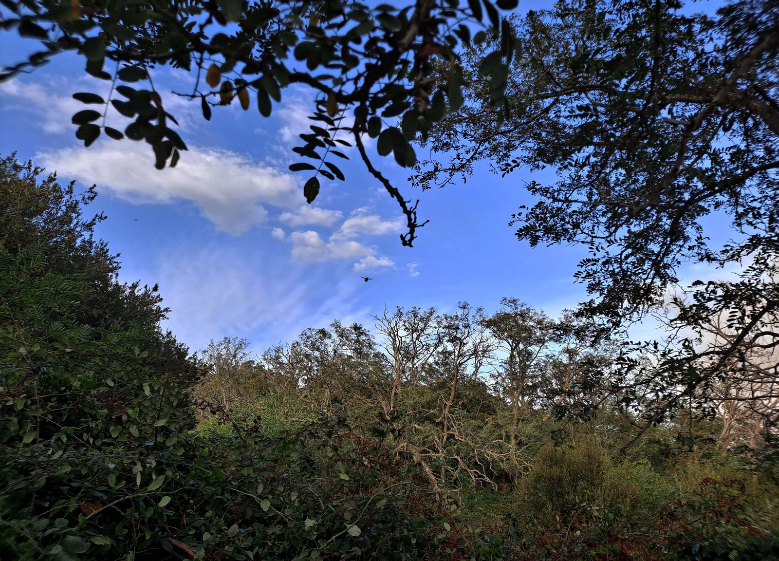 Fotos del sendero del Chorro de Pelayo en Algeciras