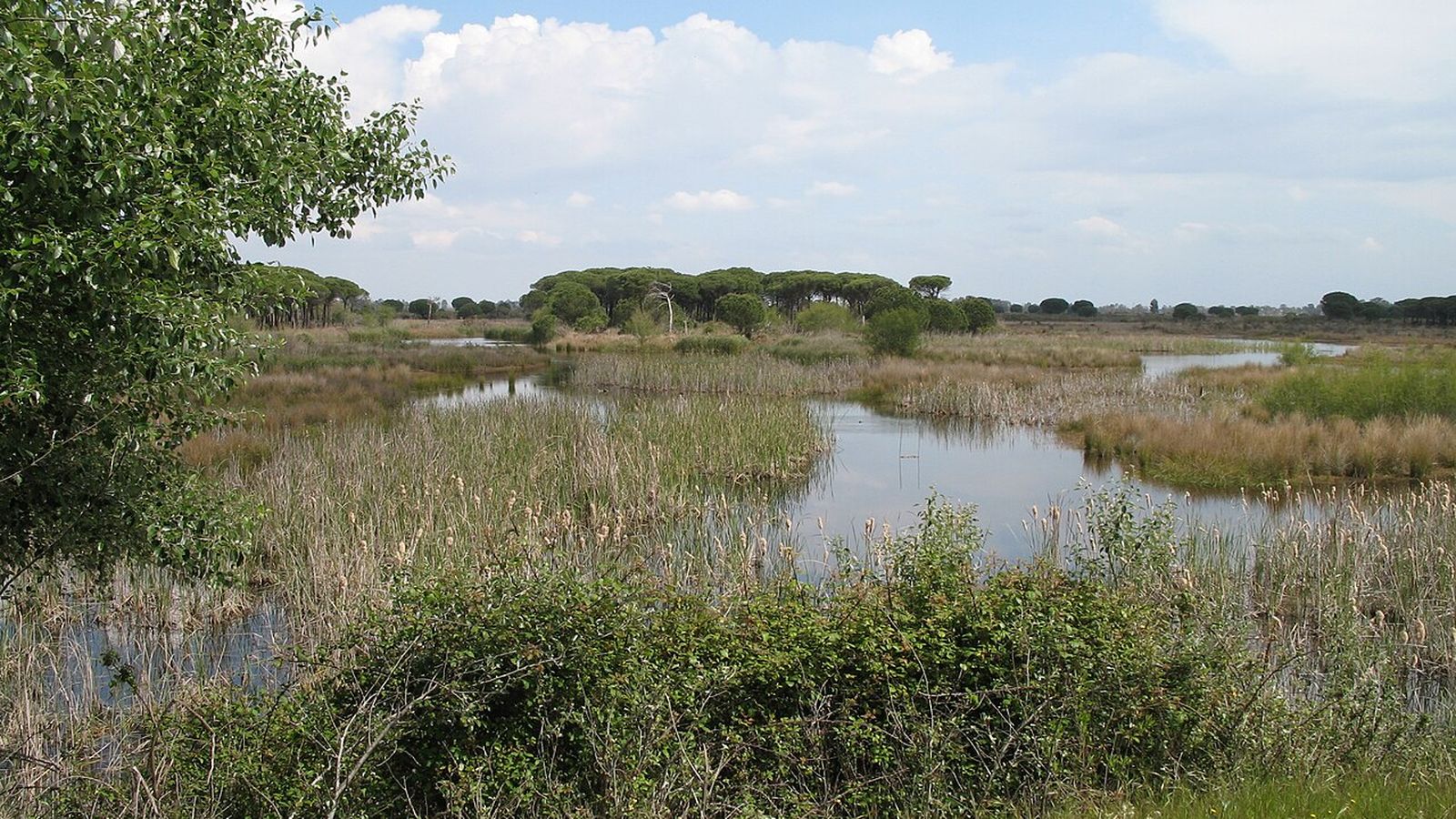 Lagunas de El Acebuche en 2007, en Doñana.