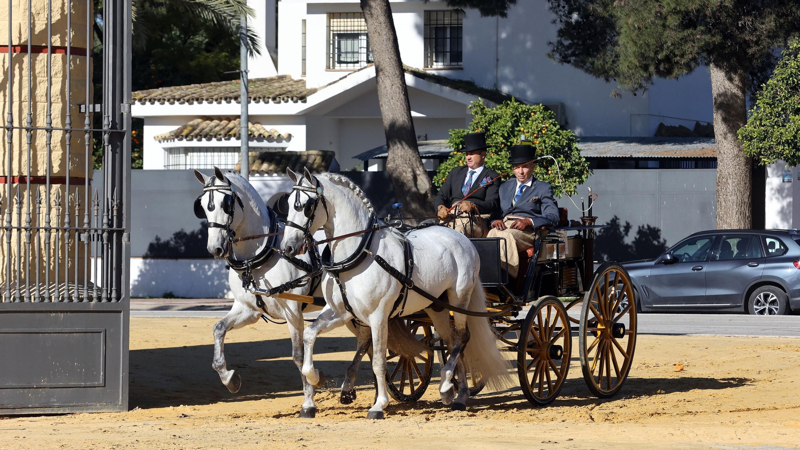 Concurso de enganches por las calles de Jerez