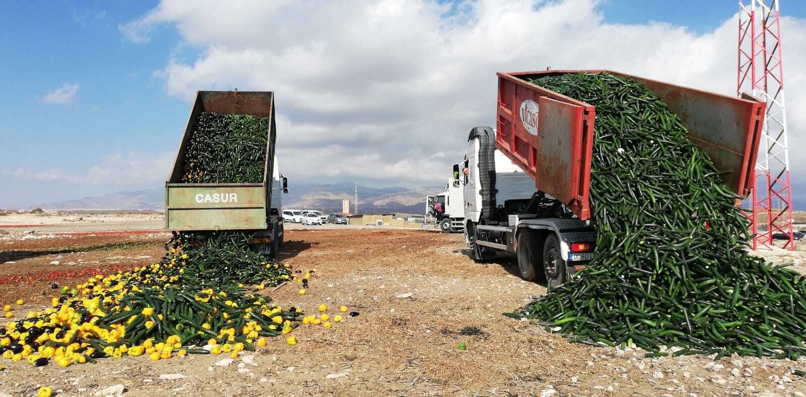 Acto simbólico de tirada de producto por los bajos precios promovido por Coexphal