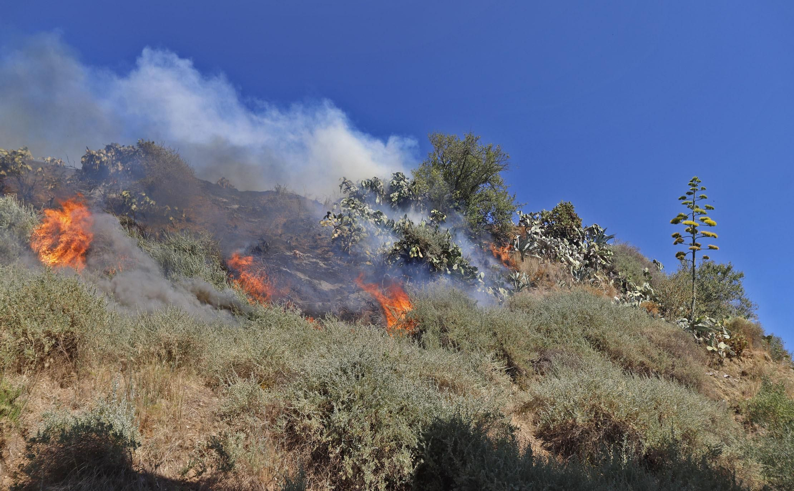 Imágenes del espectacular incendio en las laderas del Conquero