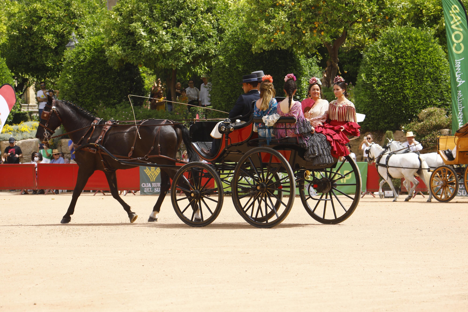 La Exhibición de Carruajes de Tradición de la Feria de Córdoba, en imágenes