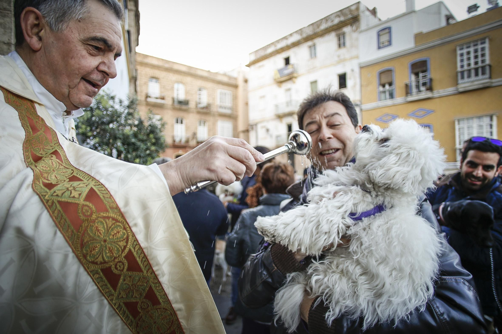 Bendición de animales en Santo Domingo