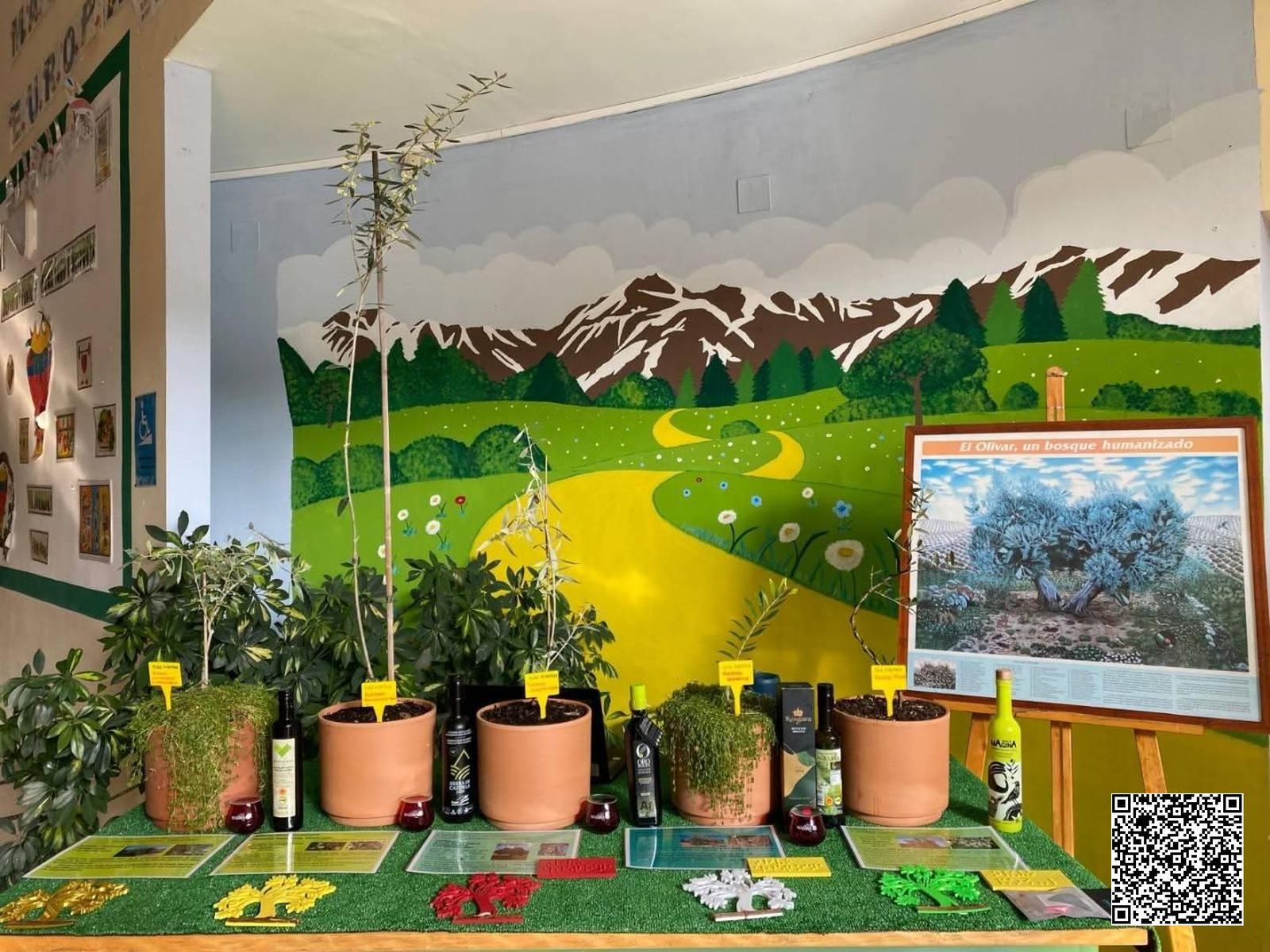 El proyecto ‘El olivo desde los sentidos’, del CEIP Fernando Molina de Albanchez de Mágina.