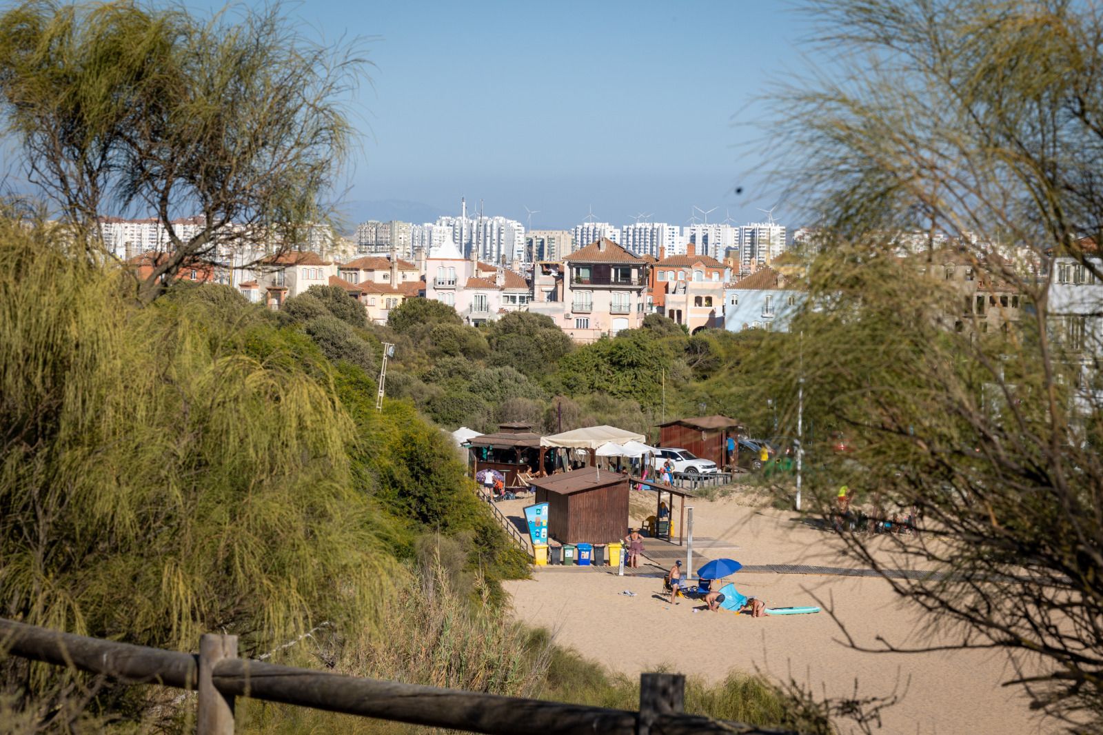 Los terrenos del bosque de La China, junto a la playa de La Muralla, en El Puerto.
