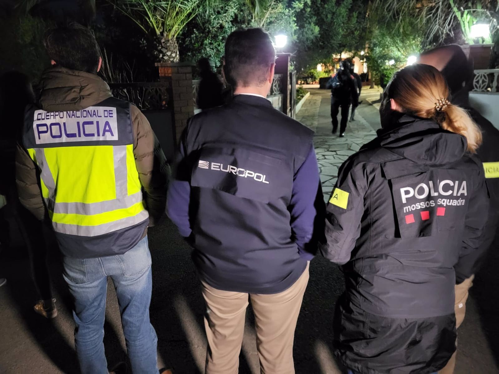En la operación han participado agentes de tres cuerpos policiales coordinados por Europol.