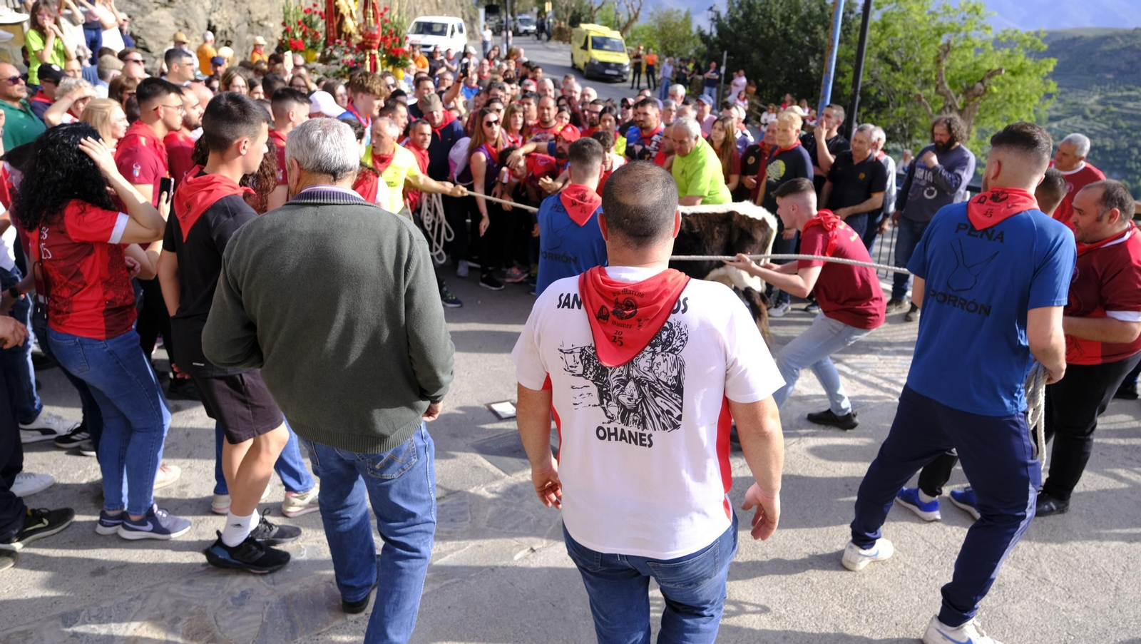 Los toros ensogados de Ohanes, en imágenes