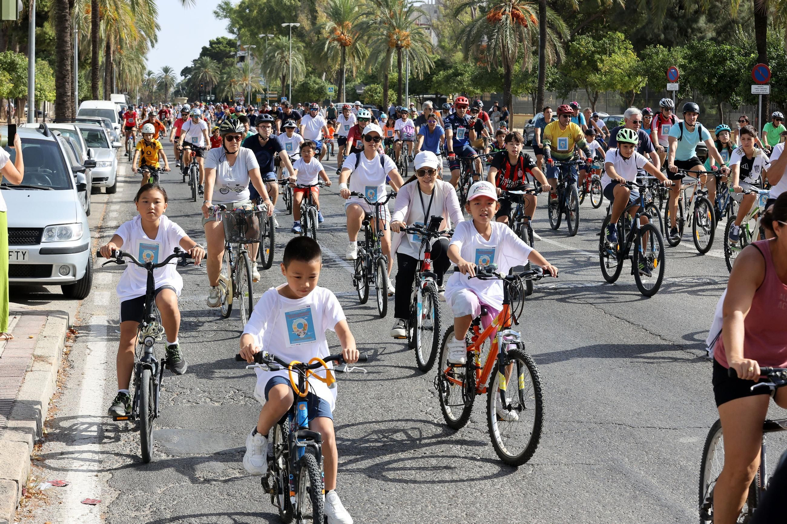 Búscate en la Bici-amistad y la Fiesta de la Movilidad en Jerez