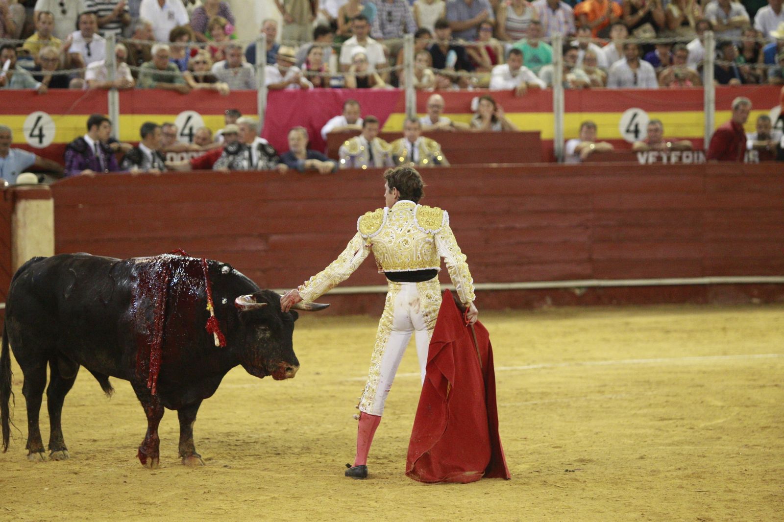 Imágenes del triunfo del torero almeriense Jorge Martínez el día de su alternativa