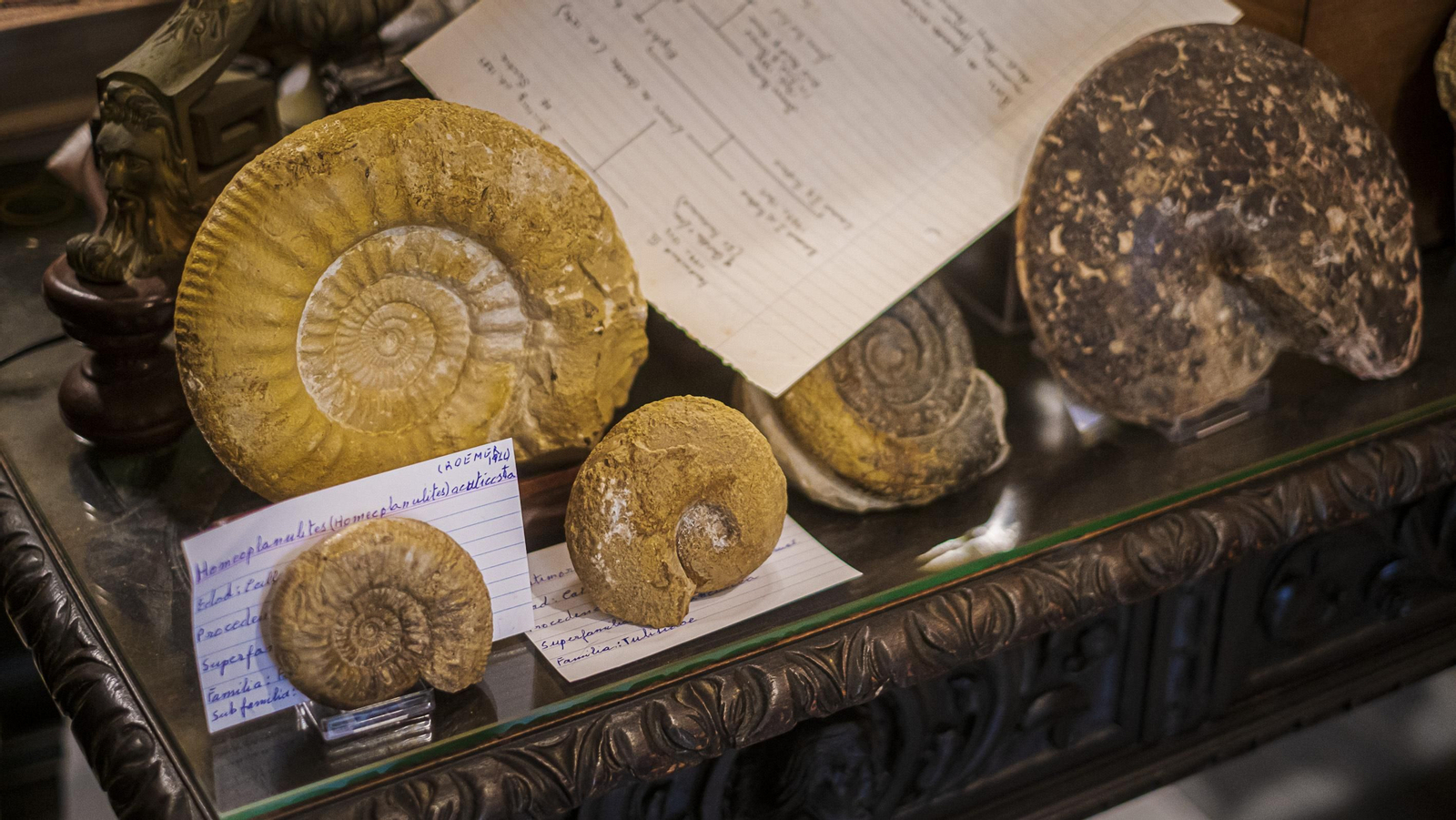 Interior de la casa en José del Toro