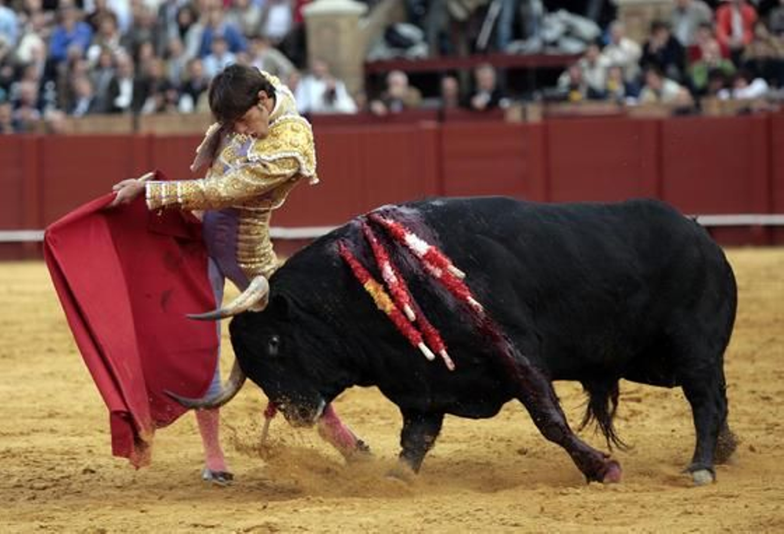 Antonio Nazaré, con el quinto toro, con el que sufrió una cogida en la pantorrilla derecha.

Foto: Juan Carlos Muñoz