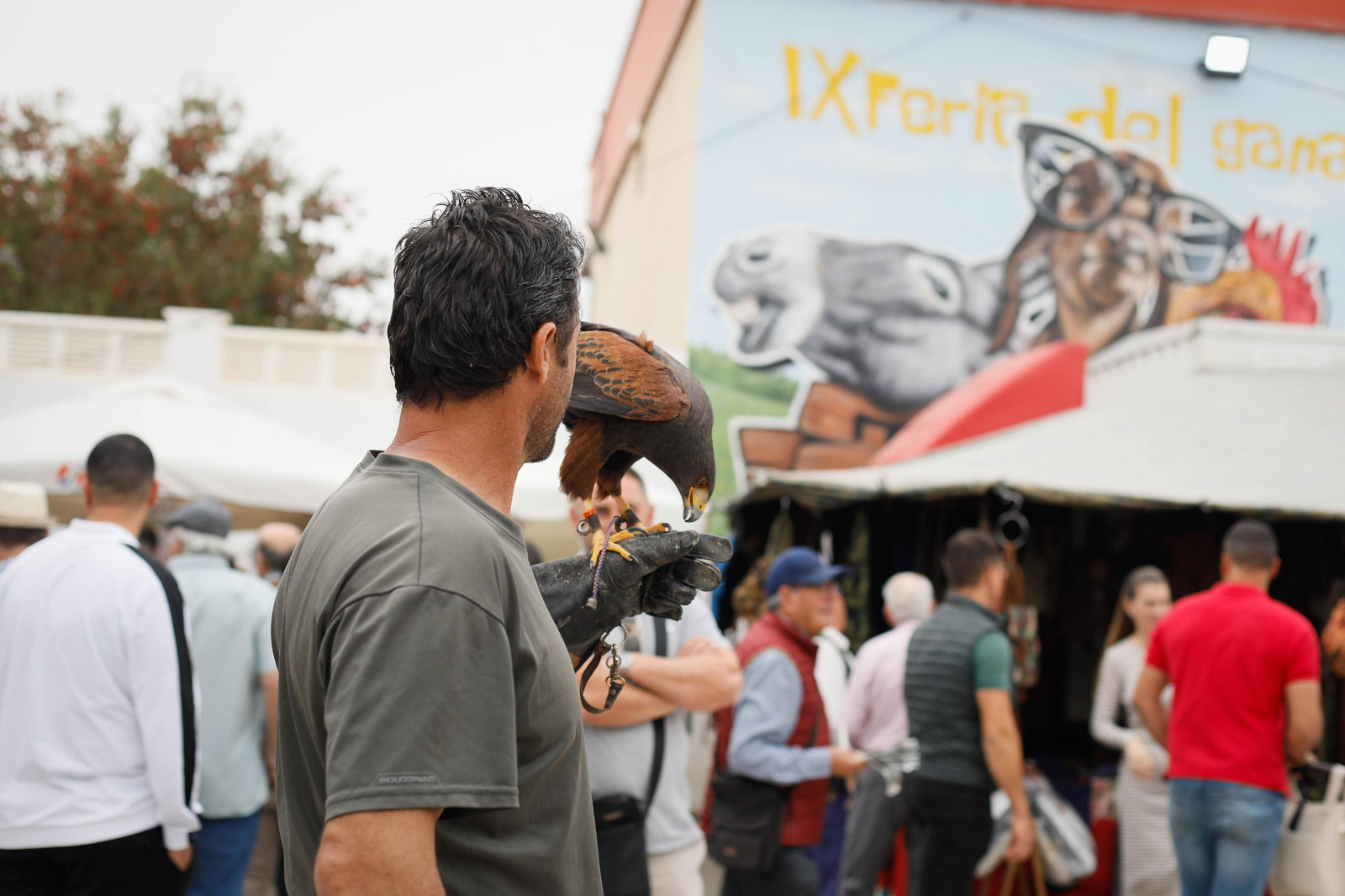 Galería de la Feria  de ganado en Tarambana