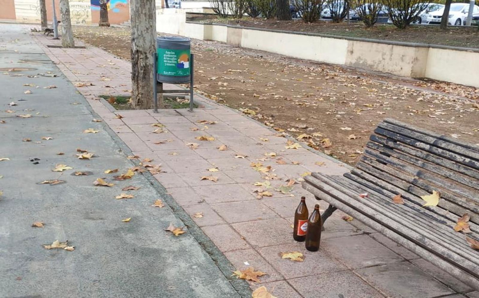 Vox propone un programa para reforzar la seguridad y limpieza de las plazas de Granada